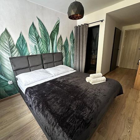 פילה Niron Apartament Dabrowskiego מראה חיצוני תמונה