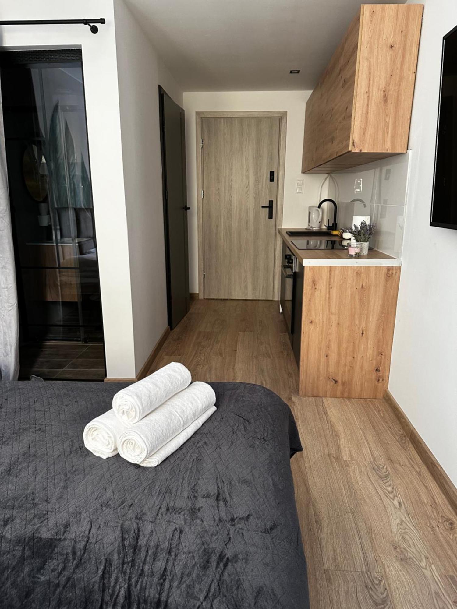 פילה Niron Apartament Dabrowskiego מראה חיצוני תמונה